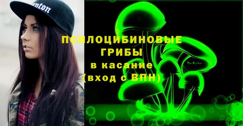 Галлюциногенные грибы MAGIC MUSHROOMS  где купить наркоту  Короча 