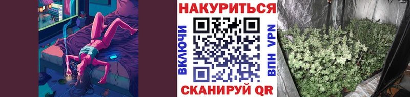где найти Короча Бошки Шишки MAZAR